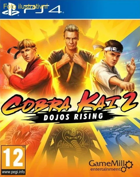 Cobra Kai 2 Dojos Rising (PS4)