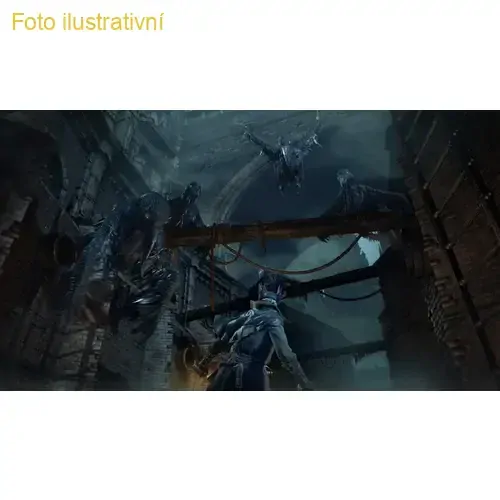 Bloodborne (PS HITS)(PS4)