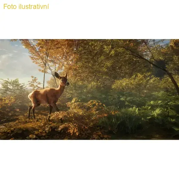 TheHunter: Call of the wild (PS4)