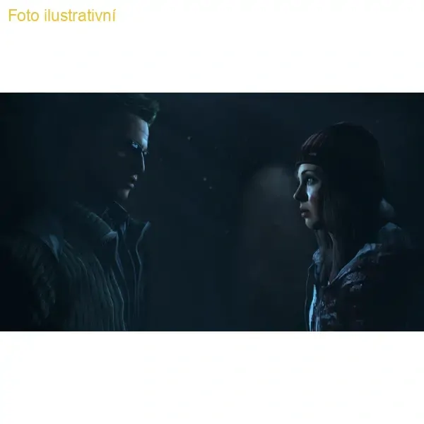 Until Dawn (PS4)