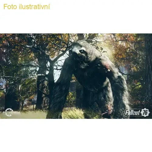 Fallout 76 (PS4) 