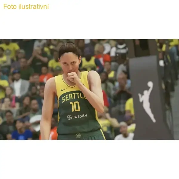 NBA 2K23 (PS4)