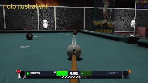 Pool Nation (PS4)