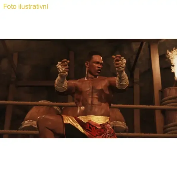 EA Sports UFC 4 (PS4)