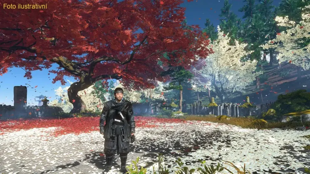 Ghost of Tsushima Director's Cut (PS4)
