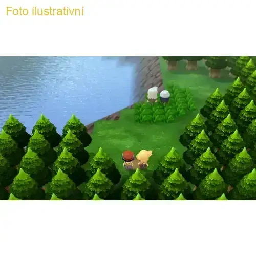 Pokémon Brilliant Diamond (SWITCH)