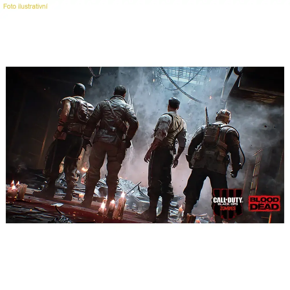 Call Of Duty Black Ops 4 (PS4)