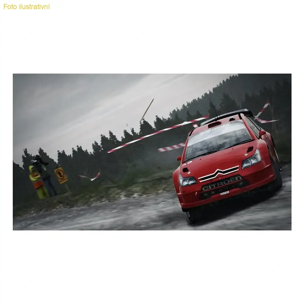 Dirt Rally (PS4)