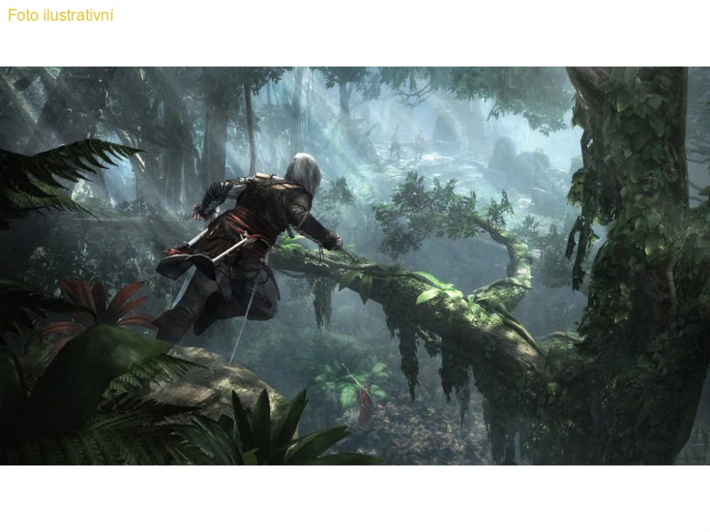 Assassins Creed 4 Black Flag (PS3) (ESSENTIALS)