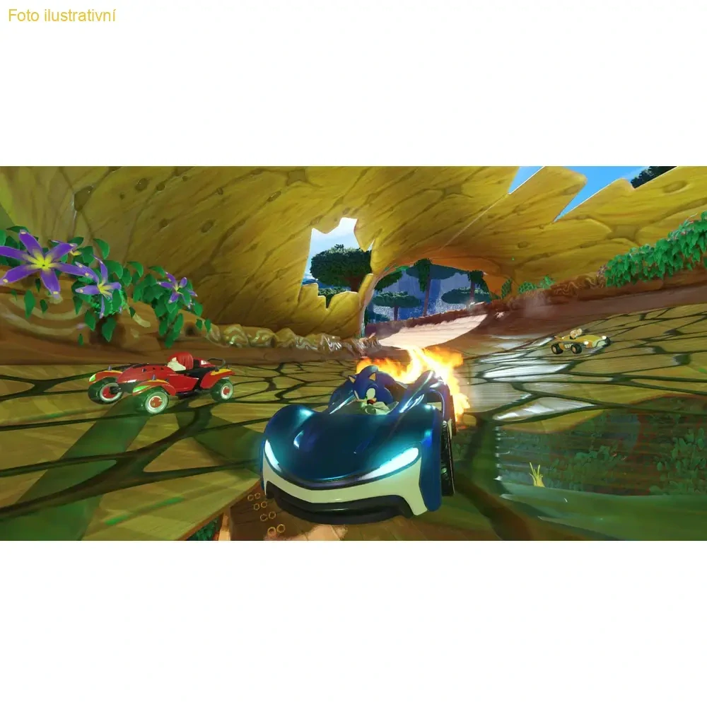 Team Sonic Racing (PS4)