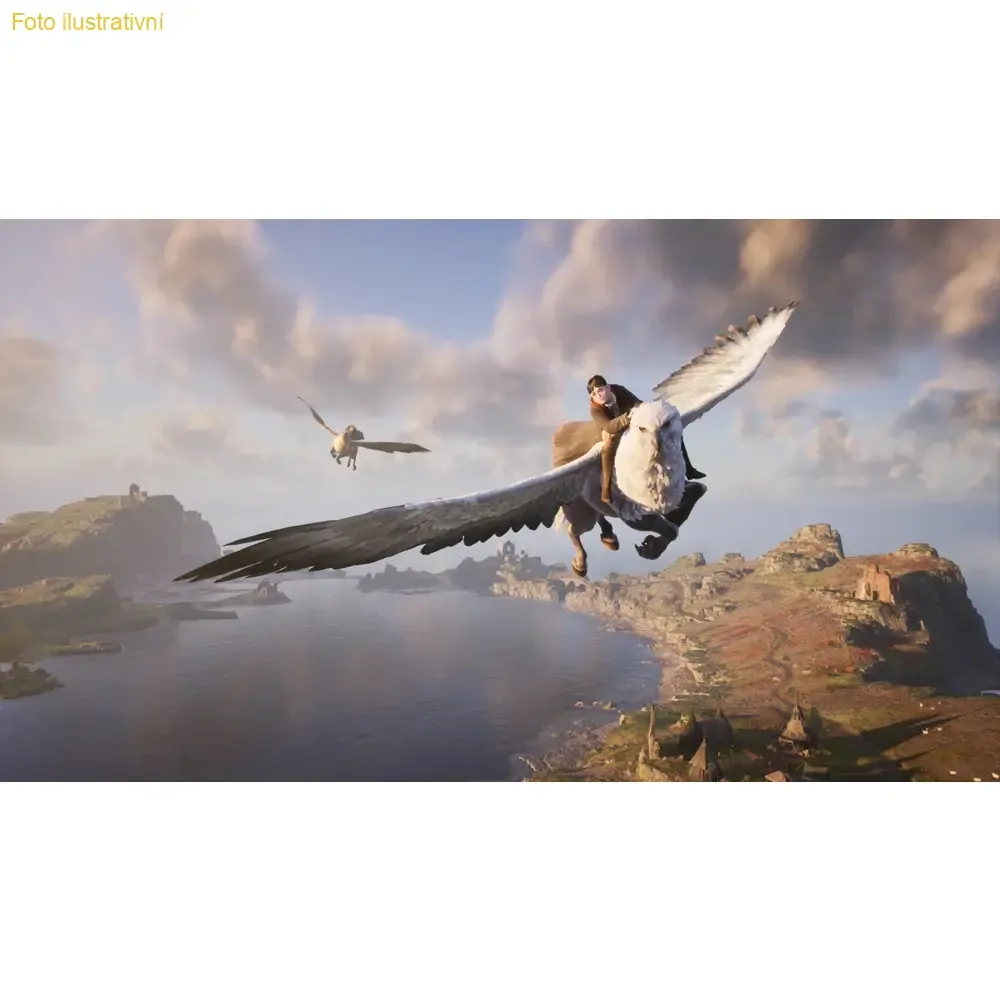 Hogwarts Legacy (SWITCH)