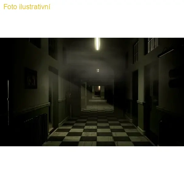 The Inpatient VR (PS4)