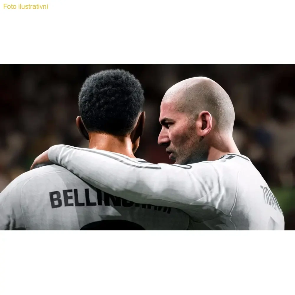 FC 25 (PS4)