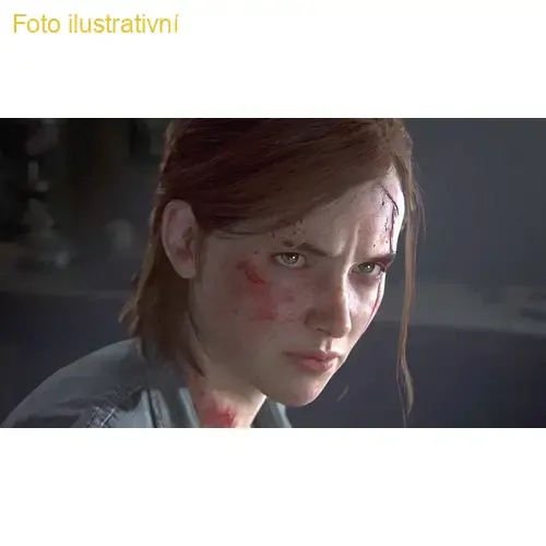 The Last of Us Part II (PS4)