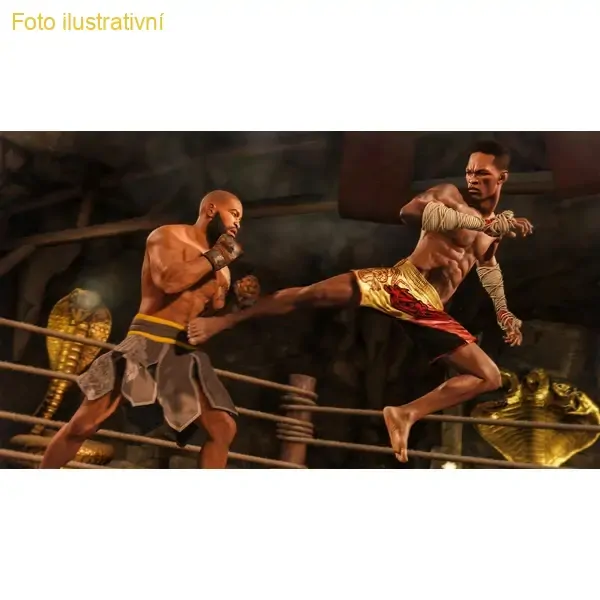 EA Sports UFC 4 (PS4)