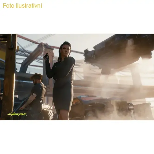 Cyberpunk 2077 (PS4)