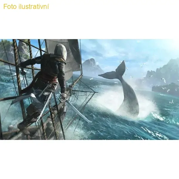 Assassin´s Creed IV Black Flag (PS HITS) (PS4)