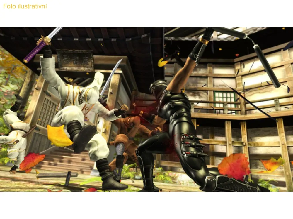 Ninja Gaiden Sigma (PS3)