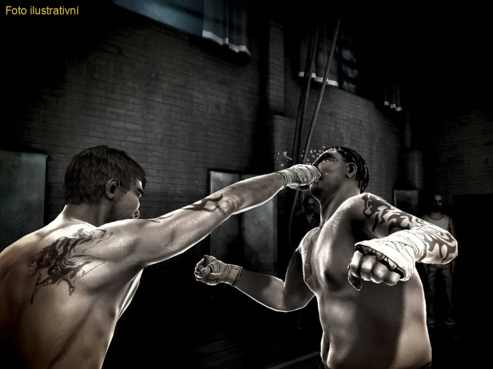 The Fight (PS3)