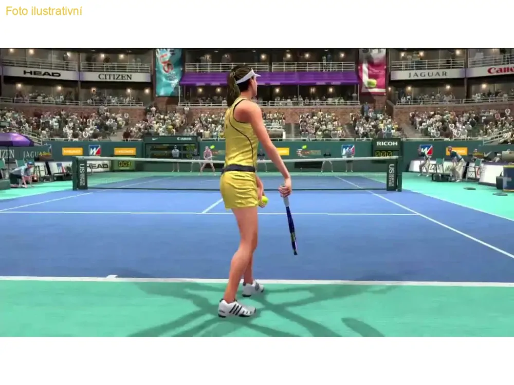 Virtua Tennis 4 (PS3)