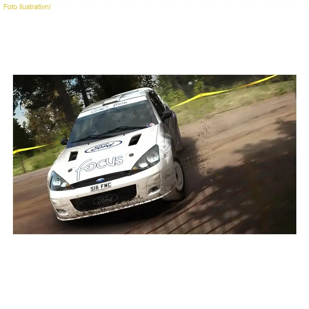 Dirt Rally (PS4)