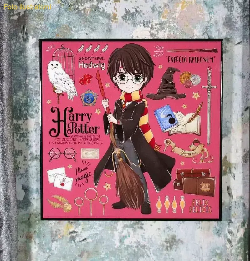 Obraz Harry Potter - Harry Potter Crystal Clear Art Pictures (Nemesis Now)