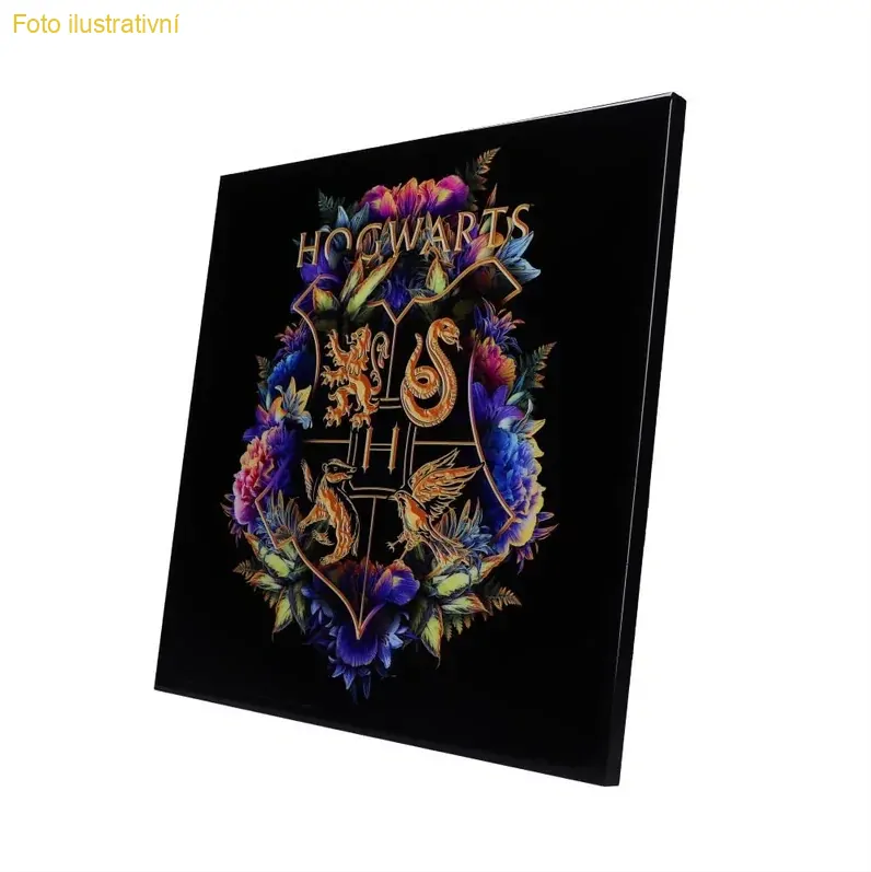 Obraz Harry Potter - Hogwarts Fine Oddities Crystal Clear Art Pictures (Nemesis Now)