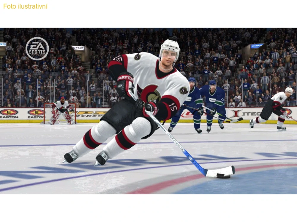 NHL 08 (PS2)