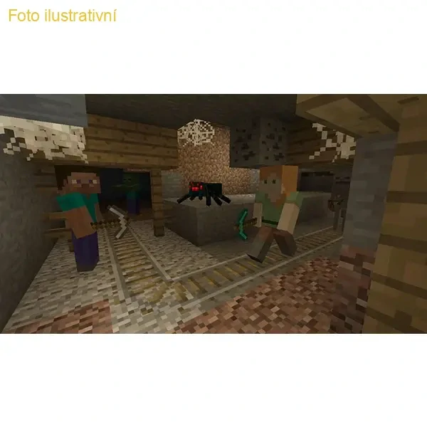 Minecraft: Nintendo Switch Edition (SWITCH)