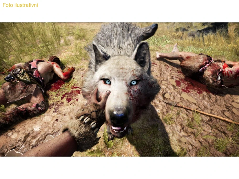 Far Cry Primal  (PS4)