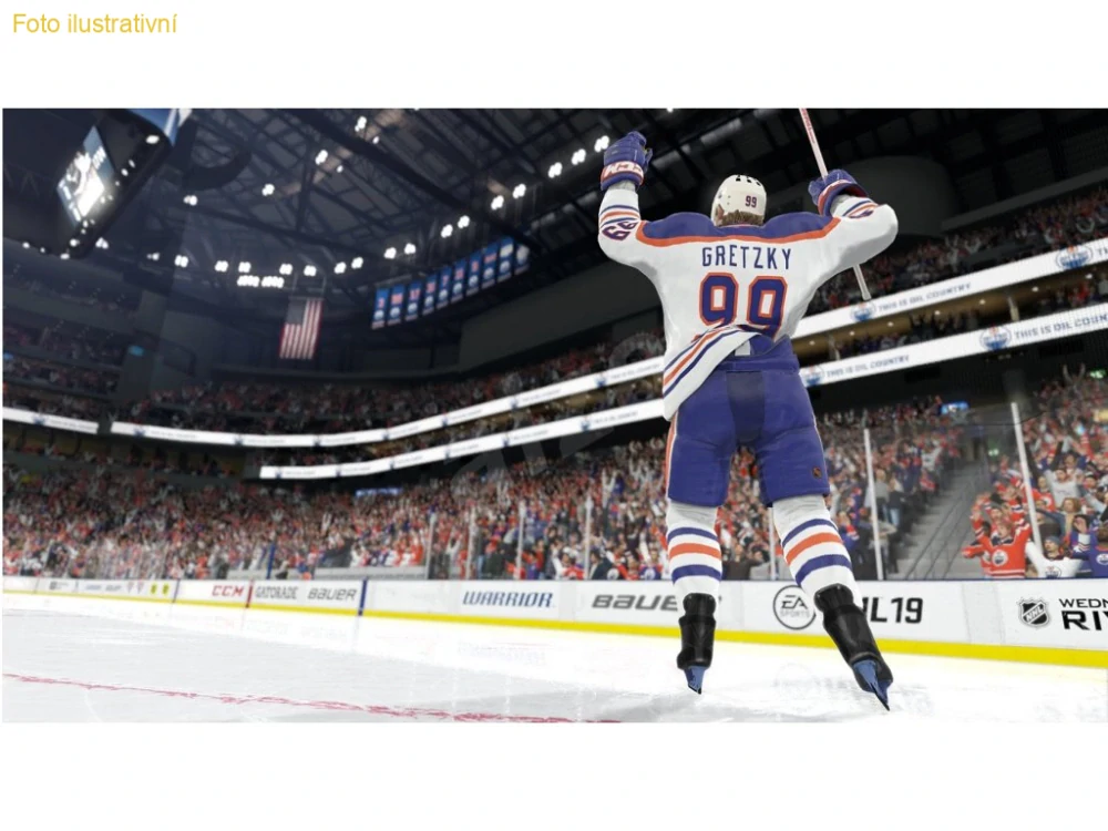 NHL 19 (PS4)