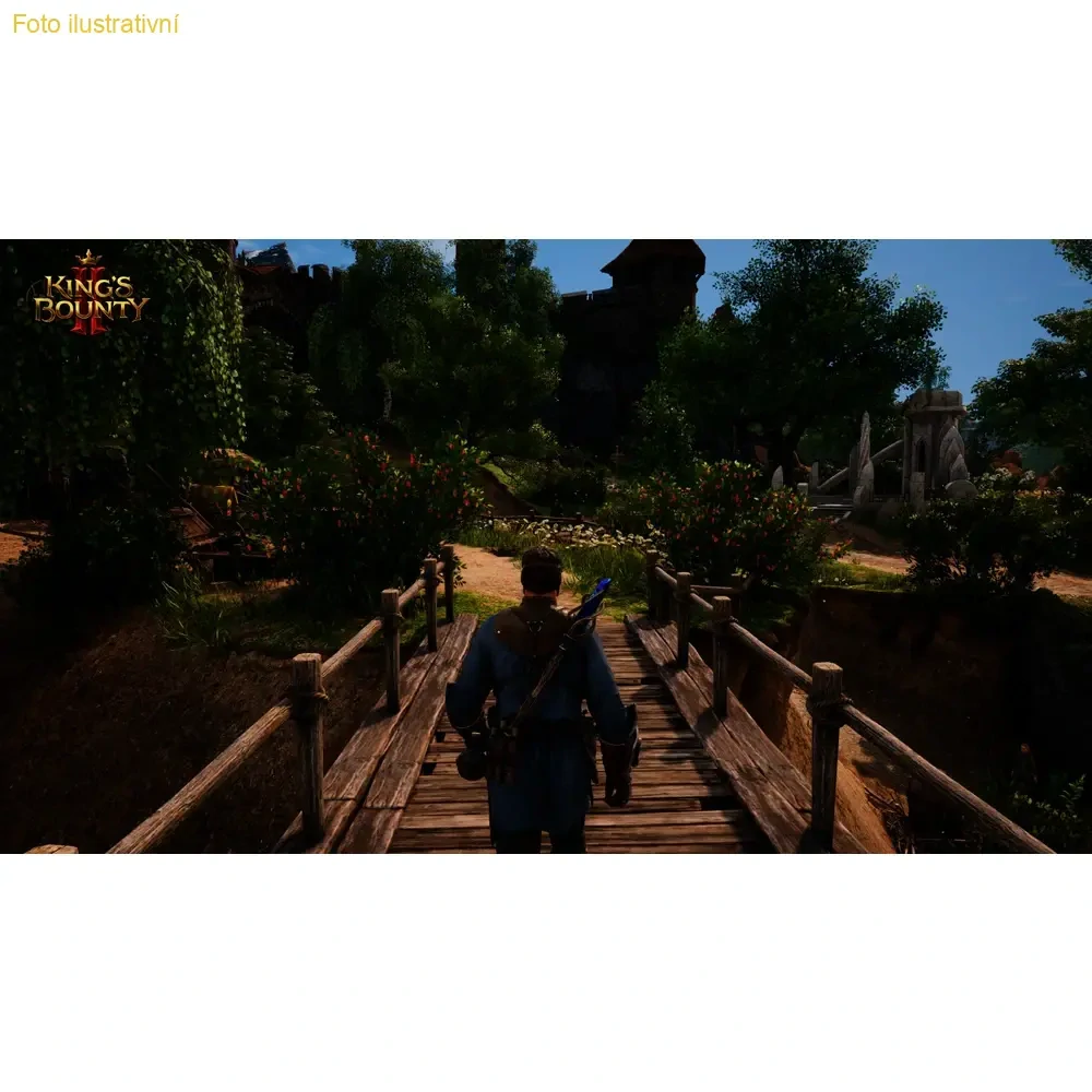 King's Bounty II (PS4)