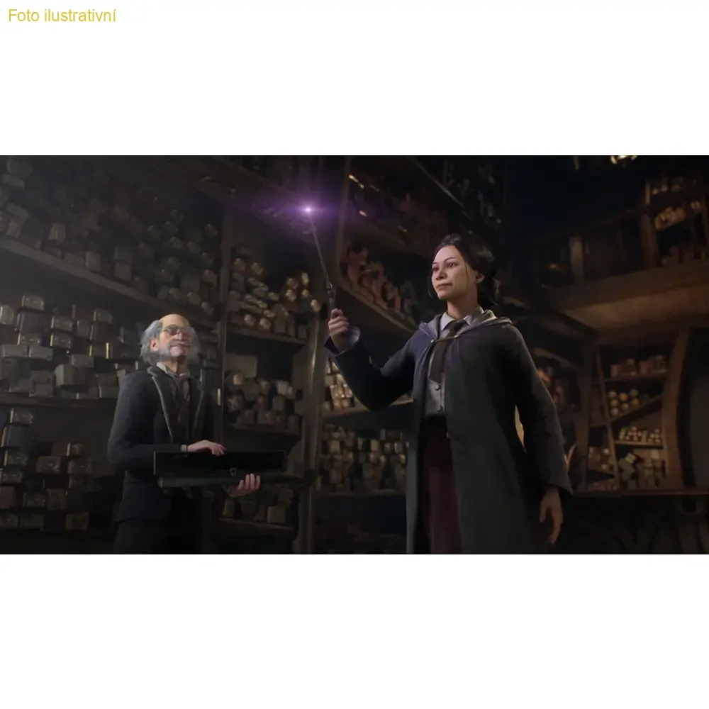 Hogwarts Legacy (SWITCH)