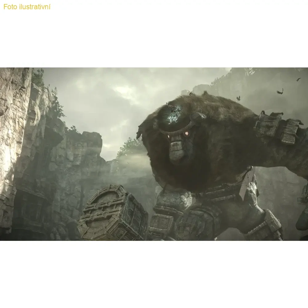 Shadow of the Colossus (PS4)
