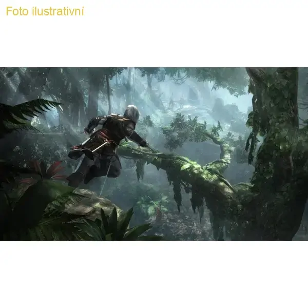 Assassin´s Creed IV Black Flag (PS HITS) (PS4)