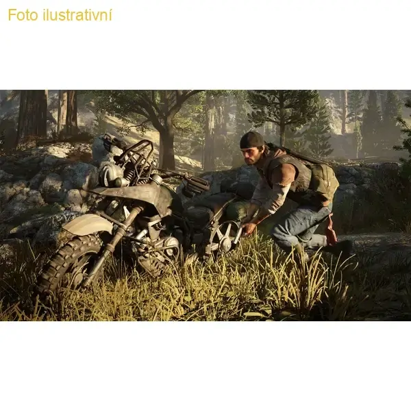 Days Gone (PS4)  