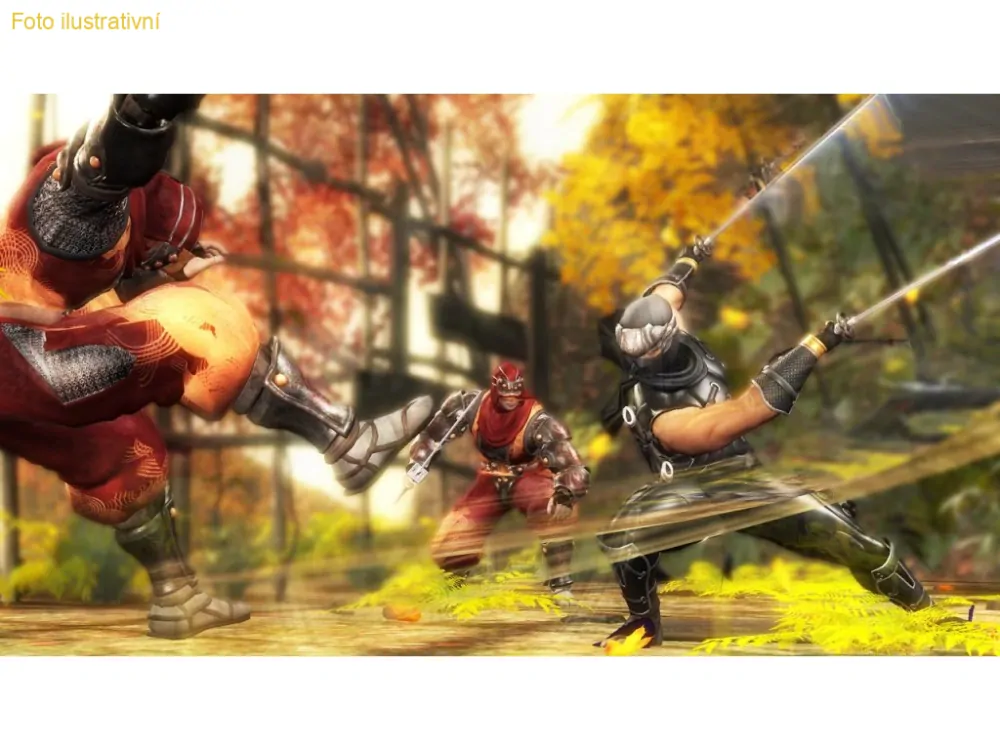 Ninja Gaiden Sigma (PS3)