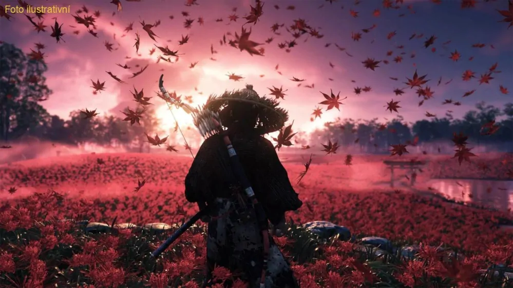Ghost of Tsushima Director's Cut (PS4)