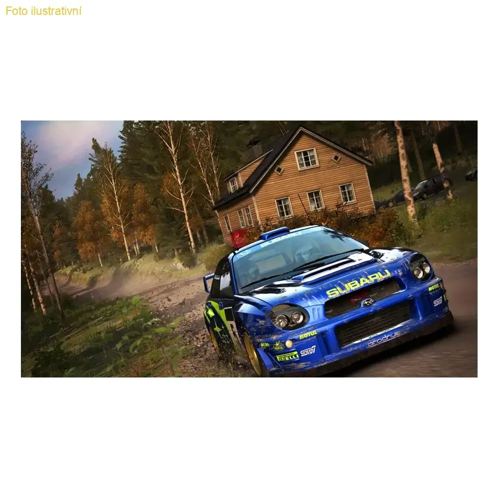 Dirt Rally (PS4)