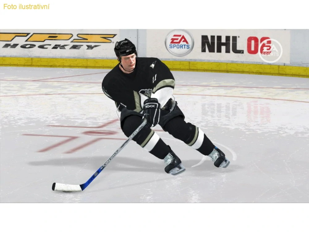 NHL 08 (PS2)