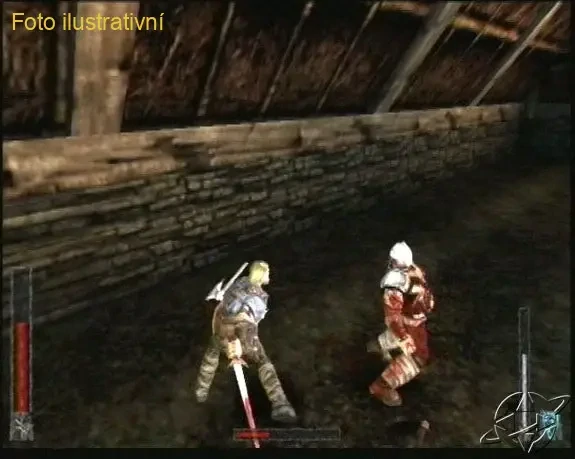 Rune: Viking Warlord (PS2)