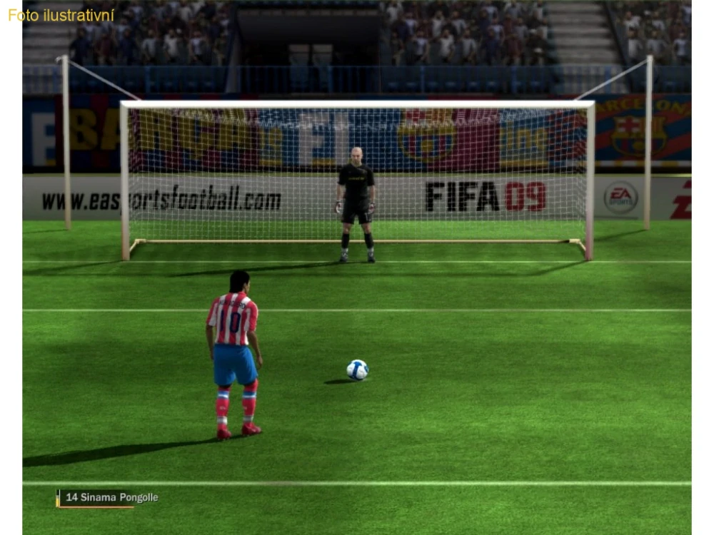 FIFA 09 (PS3)