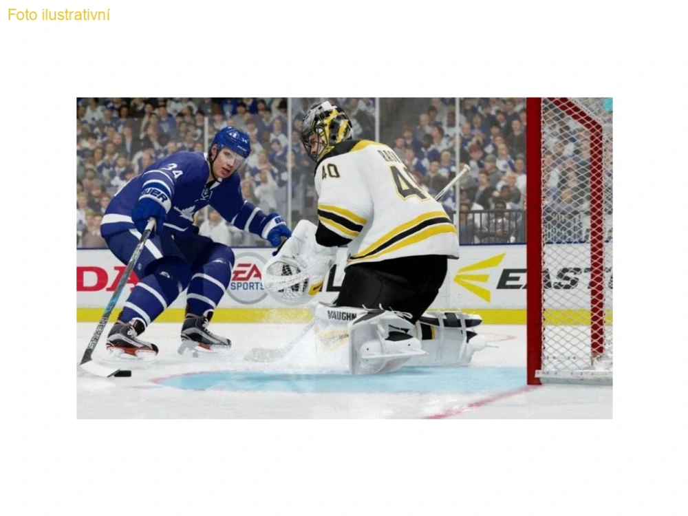NHL 19 (PS4)