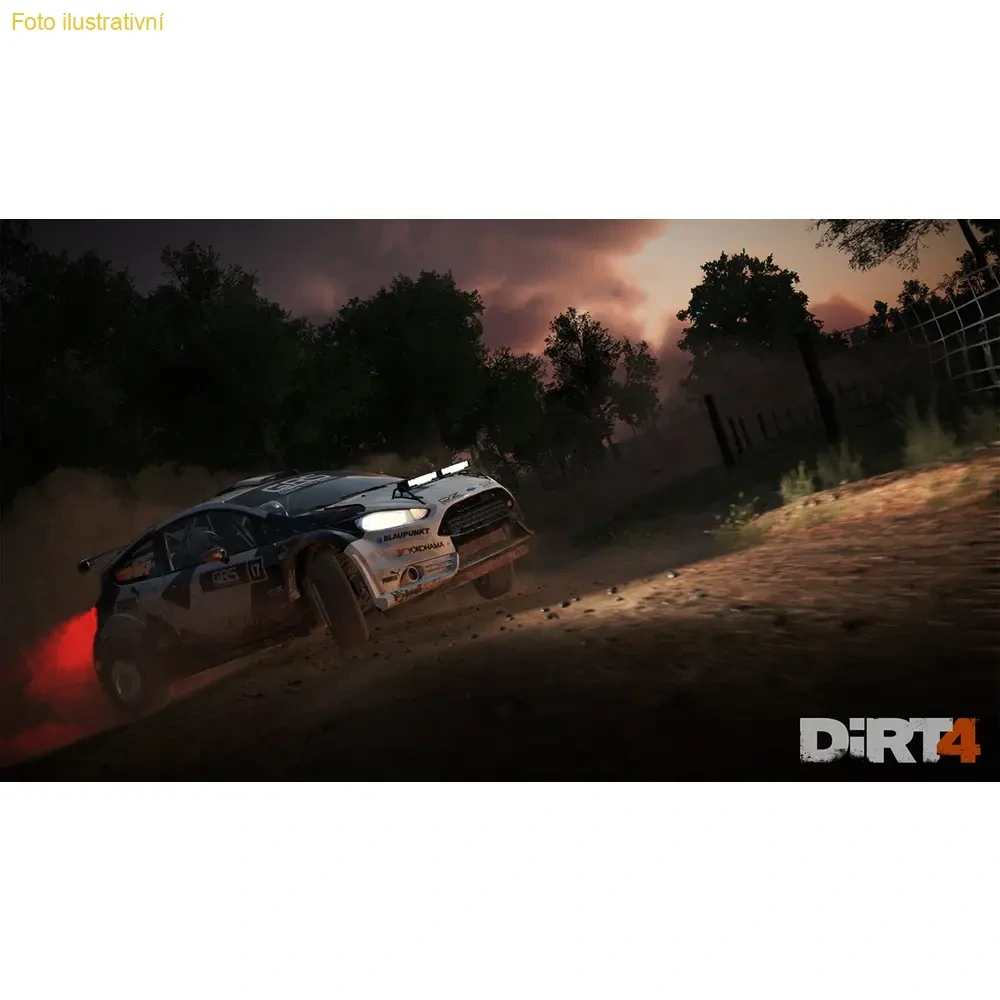 Dirt 4 (PS4)
