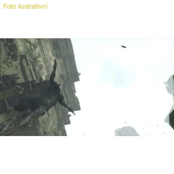 The Last Guardian (PS4)