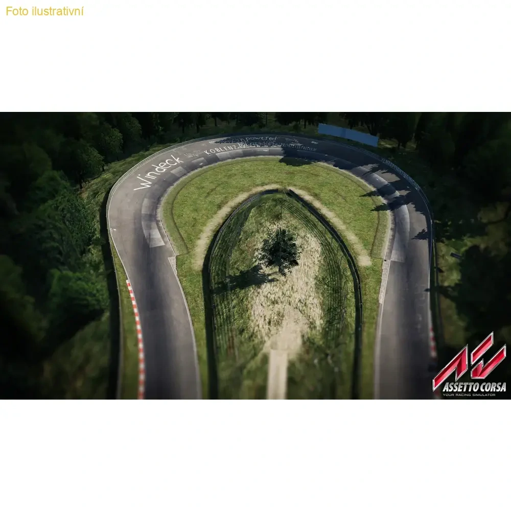 Assetto Corsa: Ultimate Edition (PS4)