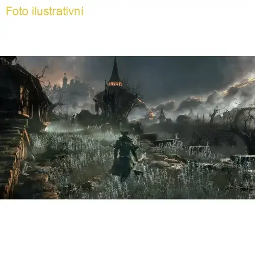 Bloodborne (PS HITS)(PS4)