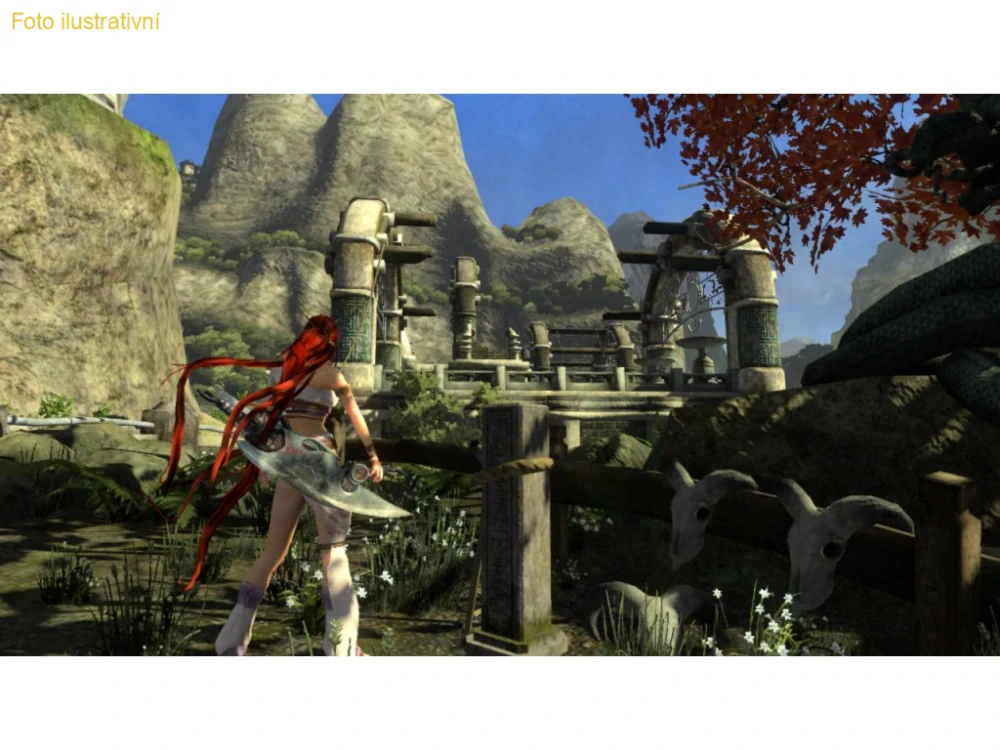 Heavenly Sword (PS3)