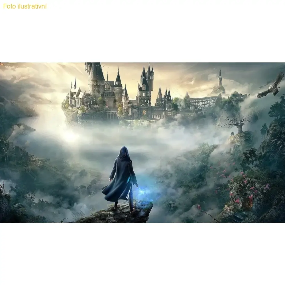 Hogwarts Legacy (SWITCH)