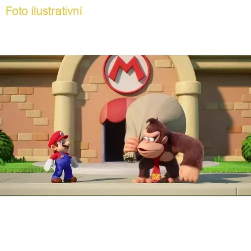Mario vs Donkey Kong (SWITCH)